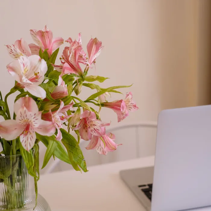 Pink lilies in a vase beside a laptop